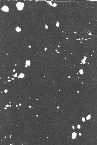 Fig. K3(low)